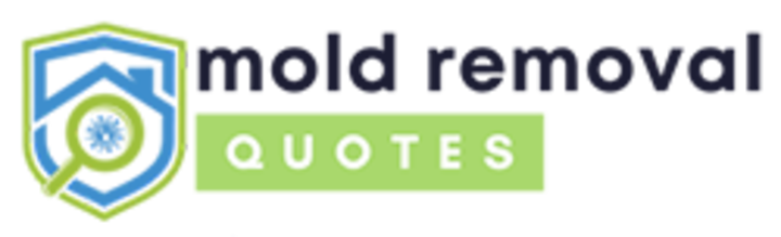 mold removal sanford